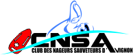  logo cnsa 